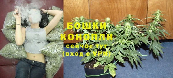 эйфоретик Новодвинск
