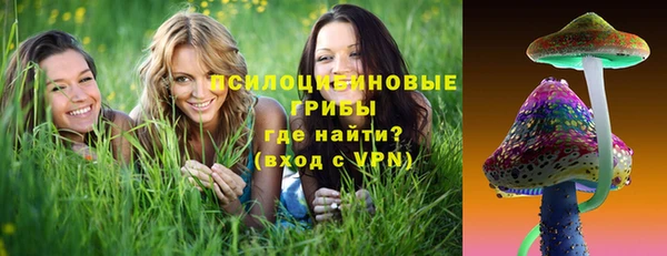 эйфоретик Новодвинск