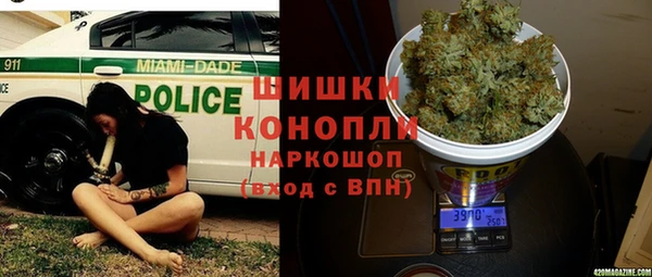 эйфоретик Новодвинск